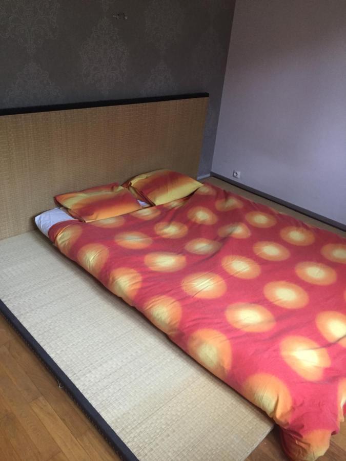 Chambre Double Futon Et Chambre Classique Au Coeur Du Vercors Saint-Agnan-en-Vercors ภายนอก รูปภาพ